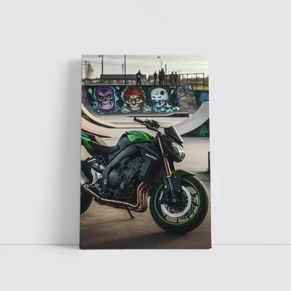 Kawasaki Naked Bike at Graffiti Skatepark