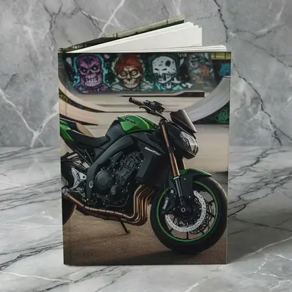 Kawasaki Naked Bike at Graffiti Skatepark