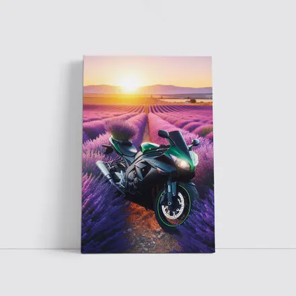 Green Sport Bike Lavender Field Sunset