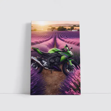 Kawasaki Sport Bike Purple Lavender Field