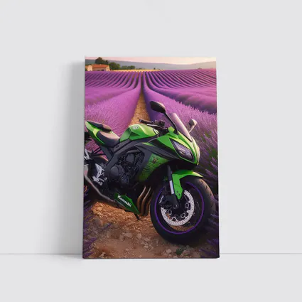 Kawasaki Green Sport Bike Lavender Fields