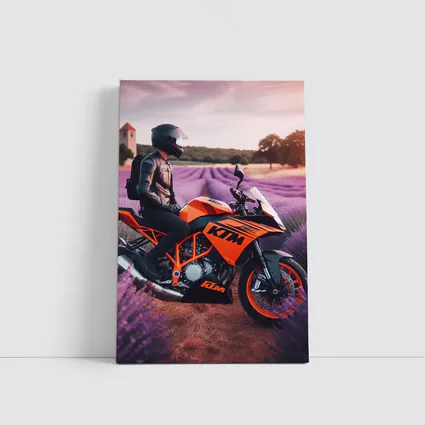 KTM Motorcycle Rider In Lavender Fields