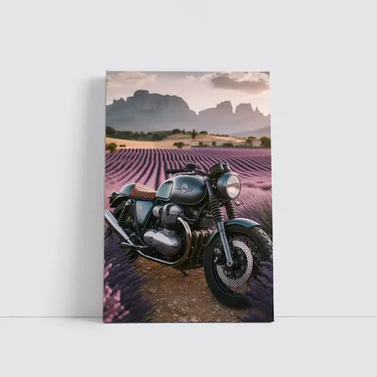 Cafe Racer Motorcycle Lavender Fields Sunset