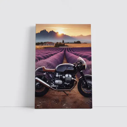 Cafe Racer Motorcycle Lavender Fields Sunset