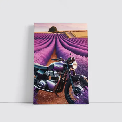 Triumph Motorcycle Parked In Lavender Fields