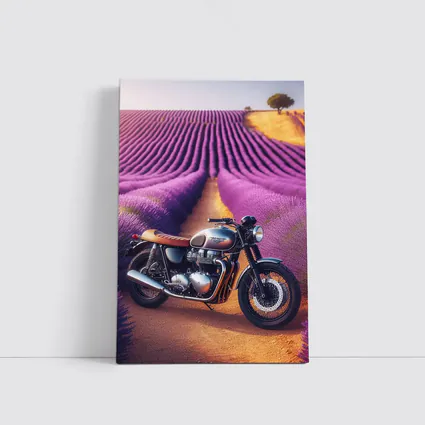 Triumph Motorcycle Parked In Lavender Fields