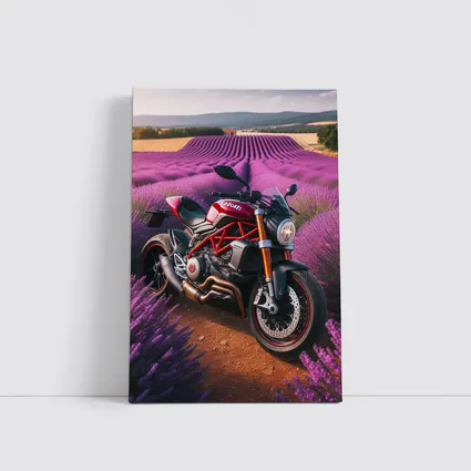 Ducati Monster Red Naked Bike Lavender Fields