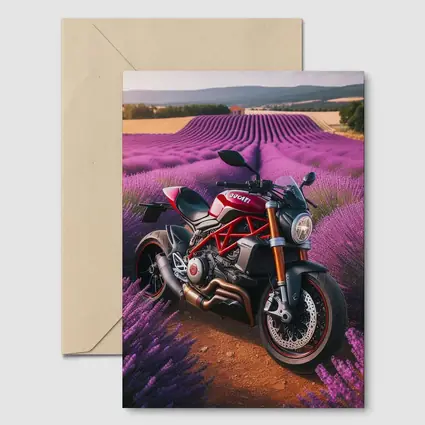 Ducati Monster Red Naked Bike Lavender Fields