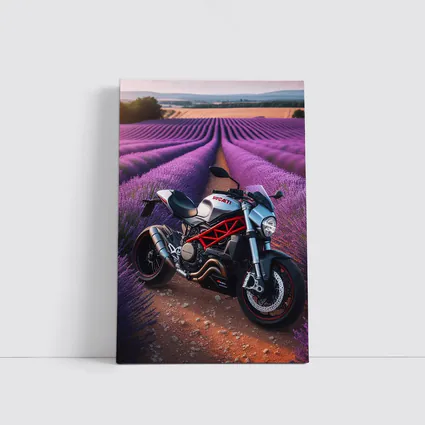 Ducati Monster Motorcycle Lavender Field Background