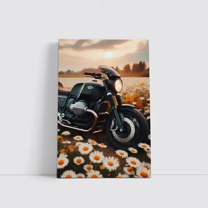 Cafe Racer Motorcycle Daisy Field Sunset