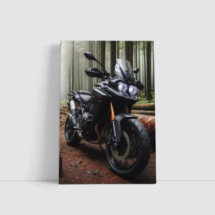 Black Adventure Motorcycle Parked In Misty Forest