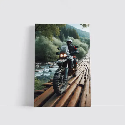 Adventure Dual Sport Bike Forest River Crossing