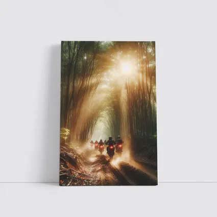 Motorcycles Riding Through Sunlit Bamboo Forest