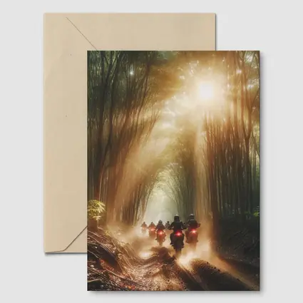 Motorcycles Riding Through Sunlit Bamboo Forest