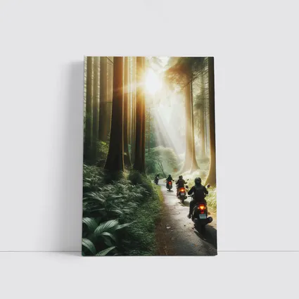 Motorcycles Riding Through Misty Forest Road