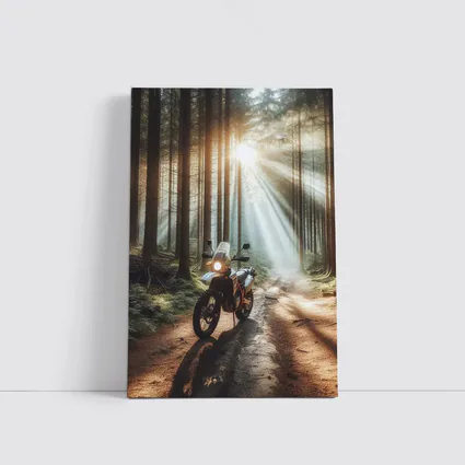Adventure Dual Sport Bike Forest Sunrays