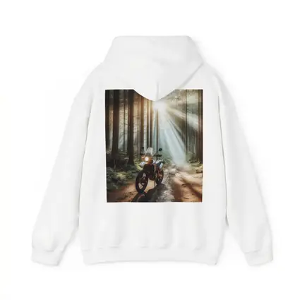 Adventure Dual Sport Bike Forest Sunrays