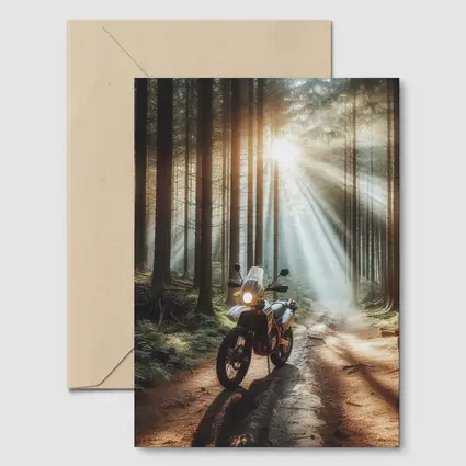 Adventure Dual Sport Bike Forest Sunrays