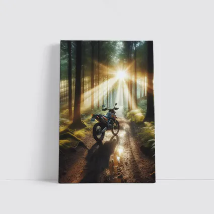 Dirt Bike Parked In Sunlit Forest