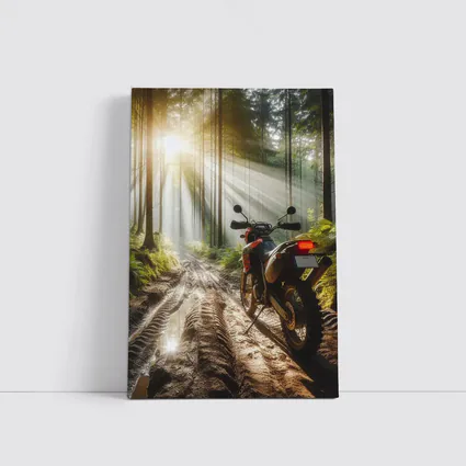 Adventure Dual Sport Bike Misty Forest Trail
