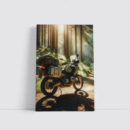 BMW Adventure Motorcycle Parked Forest Trail
