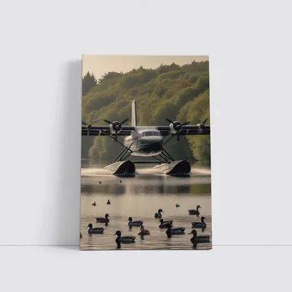 Seaplane Landing On Calm Lake With Ducks
