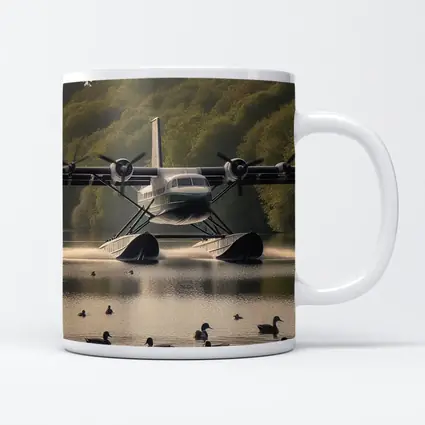 Seaplane Landing On Calm Lake With Ducks
