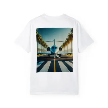 Private Jet Runway Palm Trees Tropical Airport