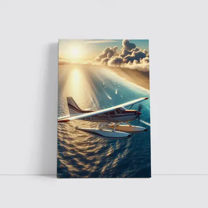 Seaplane Flying Over Sunny Ocean Waters