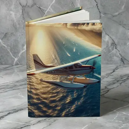 Seaplane Flying Over Sunny Ocean Waters