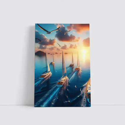 Sailboats Racing Ocean Sunset Seagulls Sky