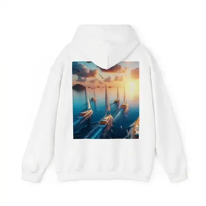 Sailboats Racing Ocean Sunset Seagulls Sky