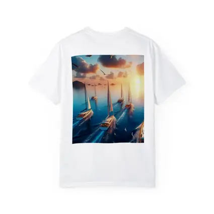 Sailboats Racing Ocean Sunset Seagulls Sky