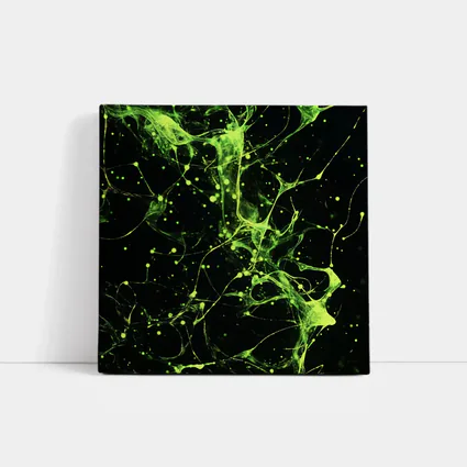 Neon Green Neural Network Dark Background Abstract