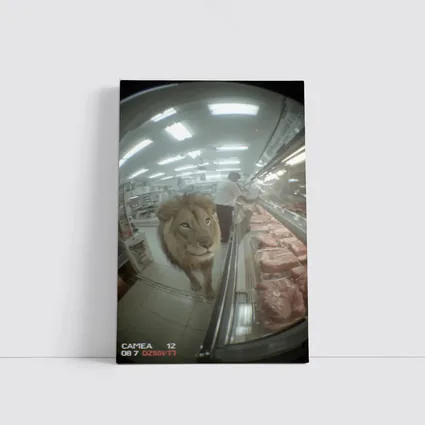 Lion Walking Through Supermarket Meat Aisle