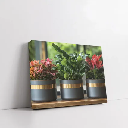 Dark Matte Pots Gold Band Indoor Plants