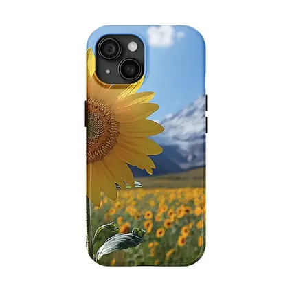 Sunflower Field Snow Mountain Blue Sky