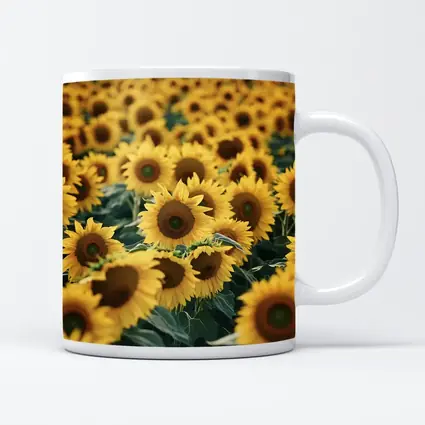 Sunflower Field Yellow Blooms Summer Landscape