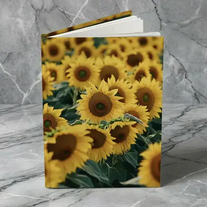 Sunflower Field Yellow Blooms Summer Landscape