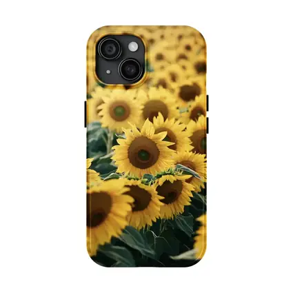 Sunflower Field Yellow Blooms Summer Landscape