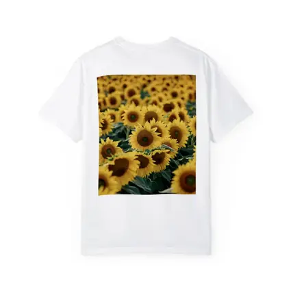 Sunflower Field Yellow Blooms Summer Landscape