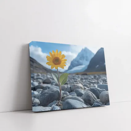 Sunflower Growing Rocky Mountain Glacier Landscape