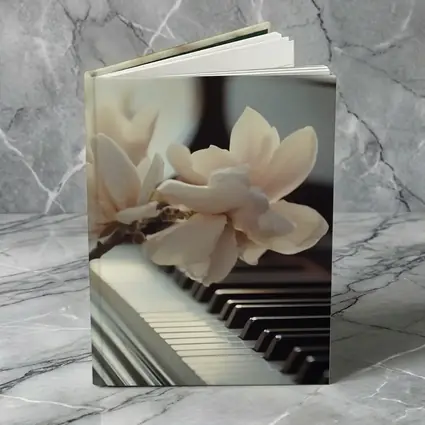 Magnolia Branch Resting On Grand Piano Keys