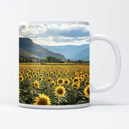 Sunflower Field With Mountain Valley Background