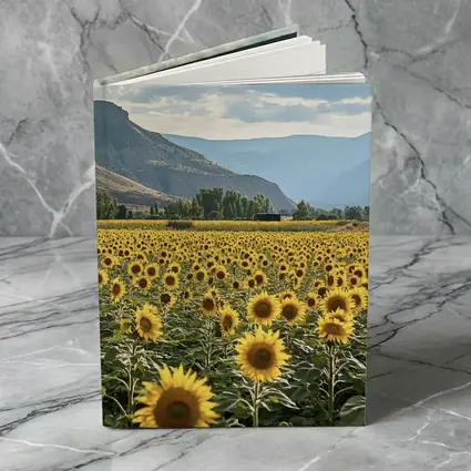 Sunflower Field With Mountain Valley Background