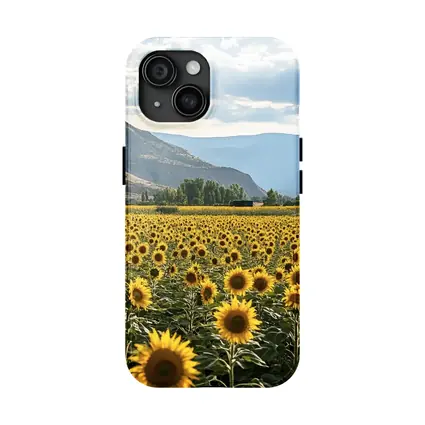 Sunflower Field With Mountain Valley Background