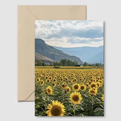 Sunflower Field With Mountain Valley Background