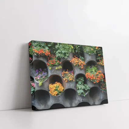 Orange Flowers Blooming In Concrete Wall Planters