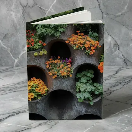 Orange Flowers Blooming In Concrete Wall Planters