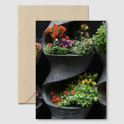 Colorful Flowers In Dark Spiral Wall Planters